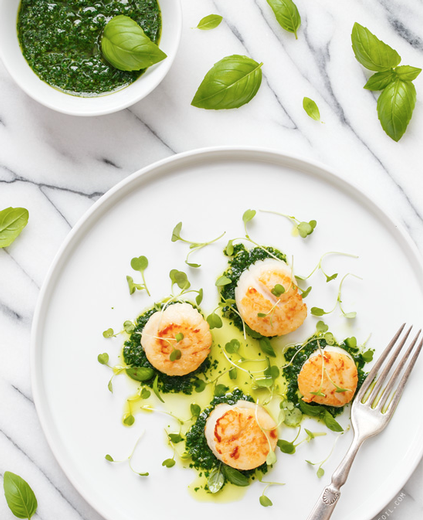Seared Scallops with Basil Olive Oil Pistou
